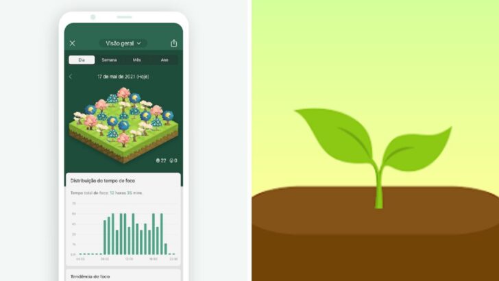 Forest se diferencia dentre os aplicativos para criar bons hábitos pois os usuários ganham moedas virtuais  para plantar árvores reais