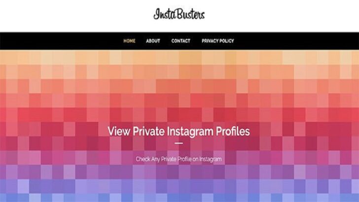 InstaBusters: Descubra como ver perfil privado do Instagram