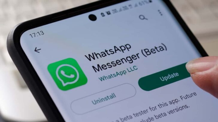 Saiba como baixar e atualizar o WhatsApp Beta no Android e iPhone